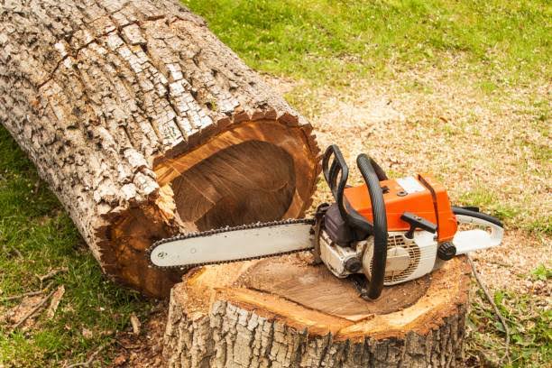 Chainsaw Work
